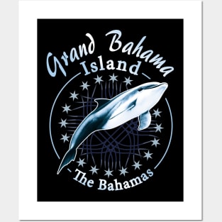 Grand Bahama Island - Diving with Dolphins Posters and Art